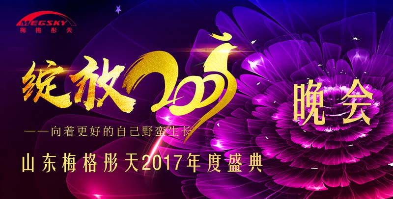 2017梅格電氣公司年會